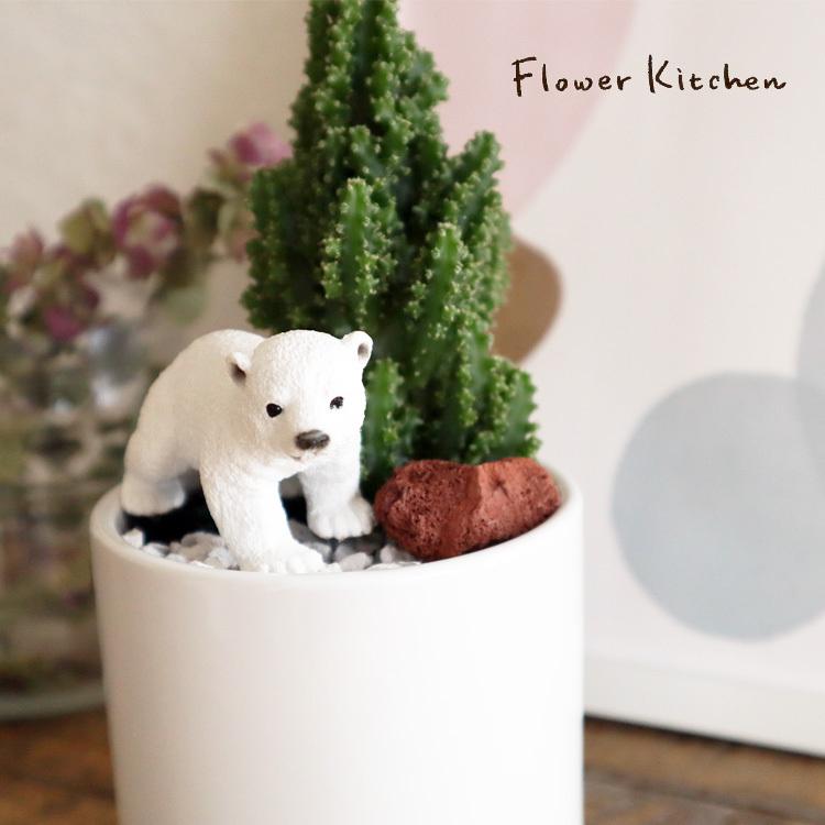 観葉植物 Saboten Zooシリーズ サボテン セレウス シロクマ フィギアつき ホワイト丸陶器鉢 Kk 04 Flowerkitchen Jiyugaoka 通販 Yahoo ショッピング