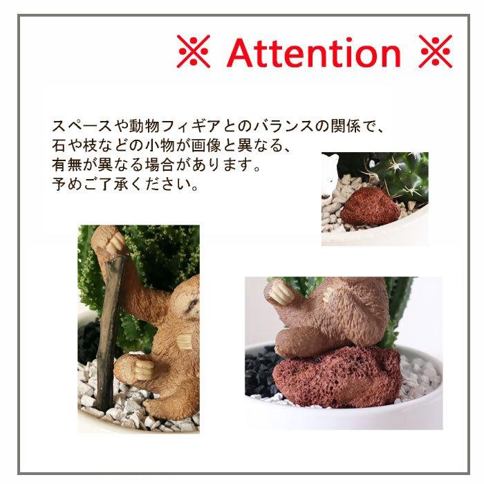 観葉植物 Saboten Zooシリーズ サボテン セレウス シロクマ フィギアつき ホワイト丸陶器鉢 Kk 04 Flowerkitchen Jiyugaoka 通販 Yahoo ショッピング