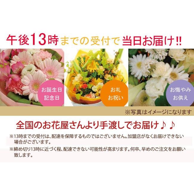 【97%OFF!】 午後14時までの受付で当日配達可能 イーフローラ 又は 花キューピット でお届け 誕生日 結婚祝い 出産 御祝 お見舞い ペット 還暦祝い フラワーギフト 歓迎 退職 当日配達 即日配達 開店祝 花 お祝い eflora 卒業 入学 歓送迎 クリスマス tepsa.com.pe 【97%OFF!】 午後14時までの受付で当日配達可能 イーフローラ 又は 花キューピット でお届け 誕生日 結婚祝い 出産 御祝 お見舞い ペット 還暦祝い フラワーギフト 歓迎 退職 当日配達 即日配達 開店祝 花 お祝い eflora 卒業 入学 歓送迎 クリスマス tepsa.com.pe