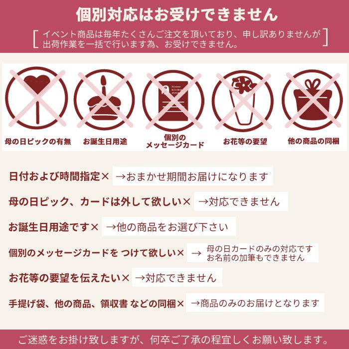 LG母の日 花 ギフト カーネーション５号鉢　選べるカラー 赤 ピンク　FKHH｜fkjiyugaoka｜10