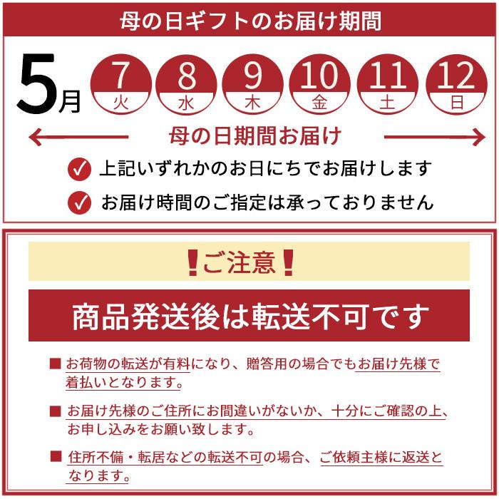 完売御礼 母の日 プレゼント 花とスイーツ ギフト マイクロ胡蝶蘭 と はちみつカステラ のセット 鉢植え 鉢花 胡蝶蘭 2024 FKHH｜fkjiyugaoka｜13