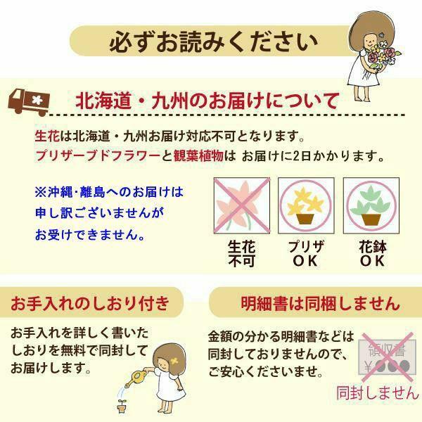 お線香と花のセット ムーンダストお供えアレンジMサイズと 黒塗り箱入り特選淡墨の桜線香セット FKAASEの画像