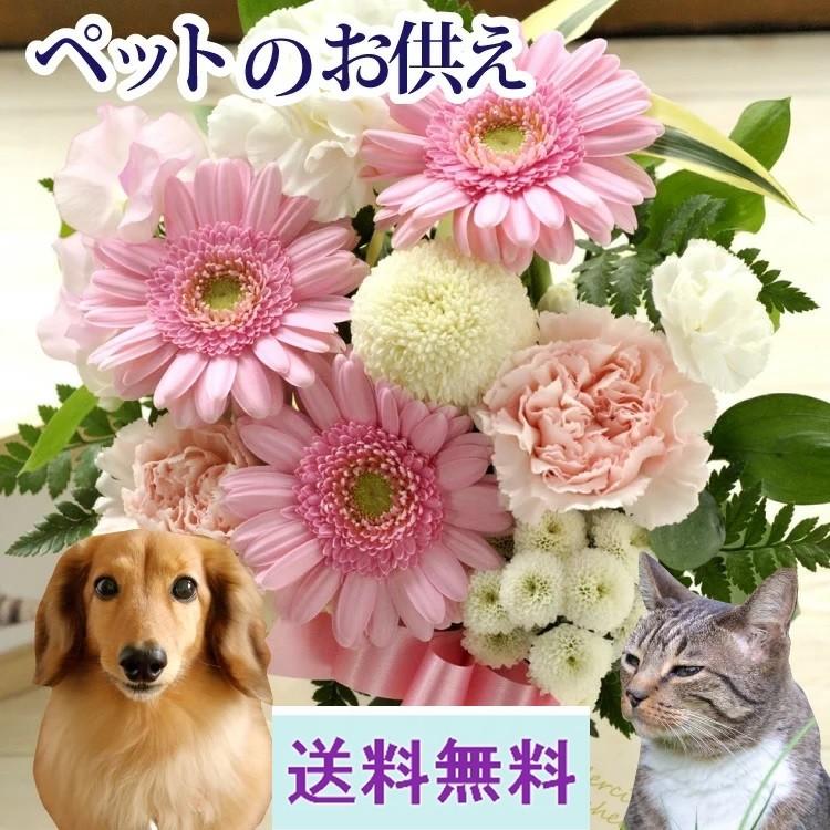 ペットのお供えアレンジメント お供え お悔み ペット専用 花 お悔み Pet 29ar Flowerkitchen Jiyugaoka 通販 Yahoo ショッピング