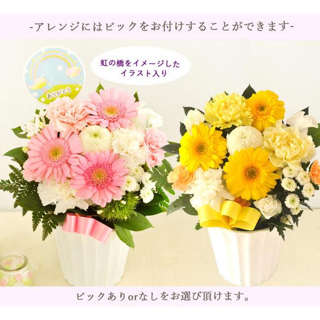 ペットのお供えアレンジメント お供え お悔み ペット専用 花 お悔み Pet 29ar Flowerkitchen Jiyugaoka 通販 Yahoo ショッピング