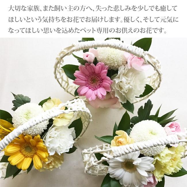 ペットのお供えSサイズ 和かごのペットお供えアレンジメント 即日発送 あすつくのお供え花 お悔み :petwakago00:FlowerKitchen JIYUGAOKA - 通販 - Yahoo!ショッピング ペットのお供えSサイズ 和かごのペットお供えアレンジメント 即日発送 あすつくのお供え花 お悔み :petwakago00:FlowerKitchen JIYUGAOKA - 通販 - Yahoo!ショッピング