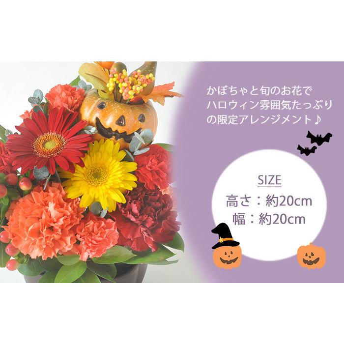 秋の実り かぼちゃアレンジ ハロウィンピック付き かぼちゃのアレンジ 即日発送 あすつくの花ギフト 期間限定 飾り付け Pumpkin02 Flowerkitchen Jiyugaoka 通販 Yahoo ショッピング