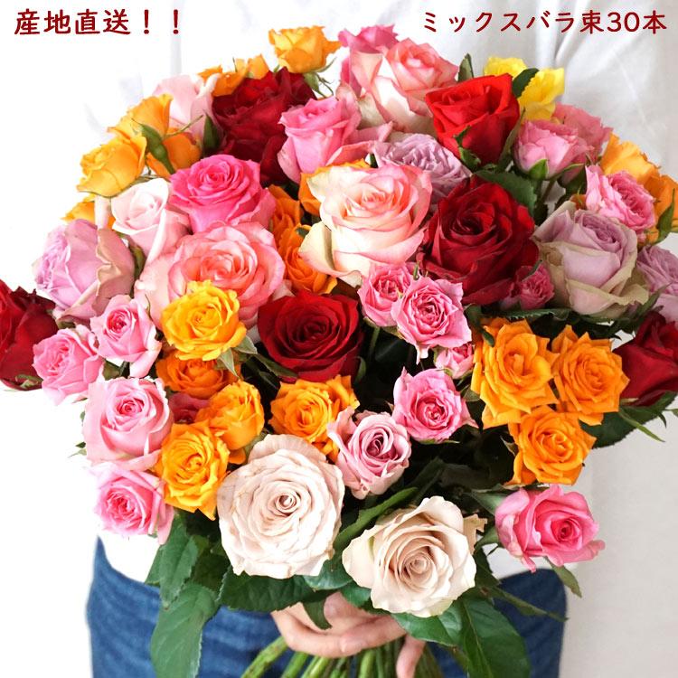 おまかせミックスバラ30本 自宅用切り花 産地直送 Fktfs Shienbaramix02 Flowerkitchen Jiyugaoka 通販 Yahoo ショッピング