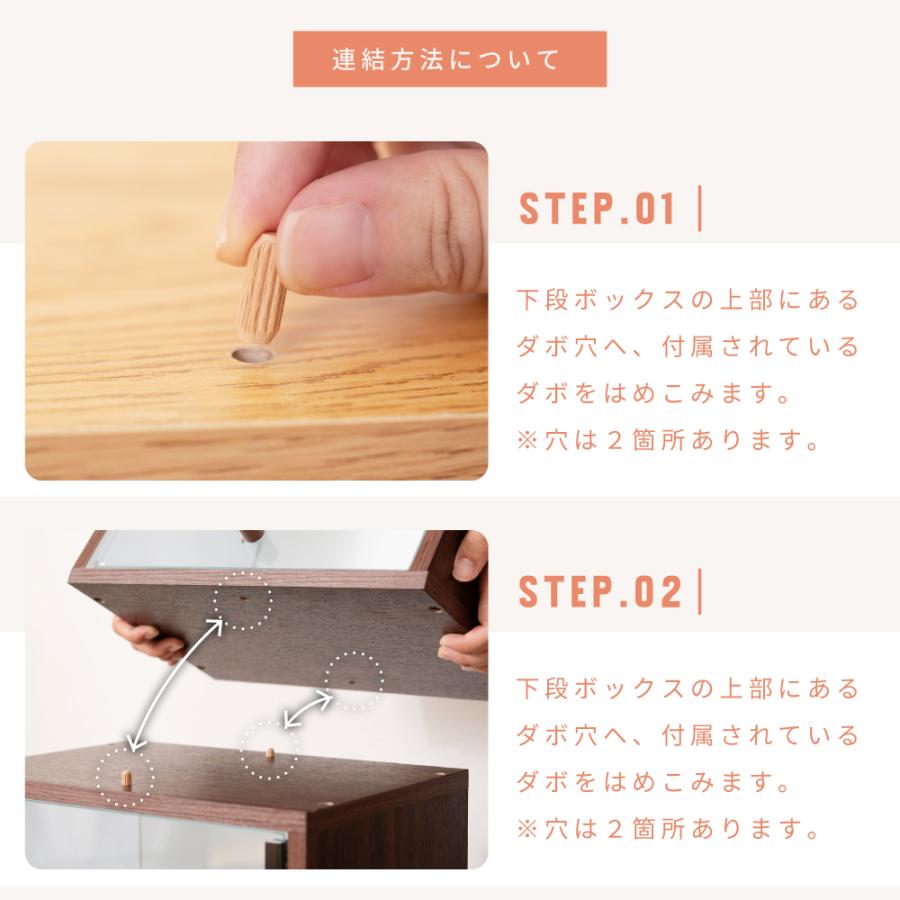 東谷 コレクションボックス 2段 フィギュアケース コレクションケース
