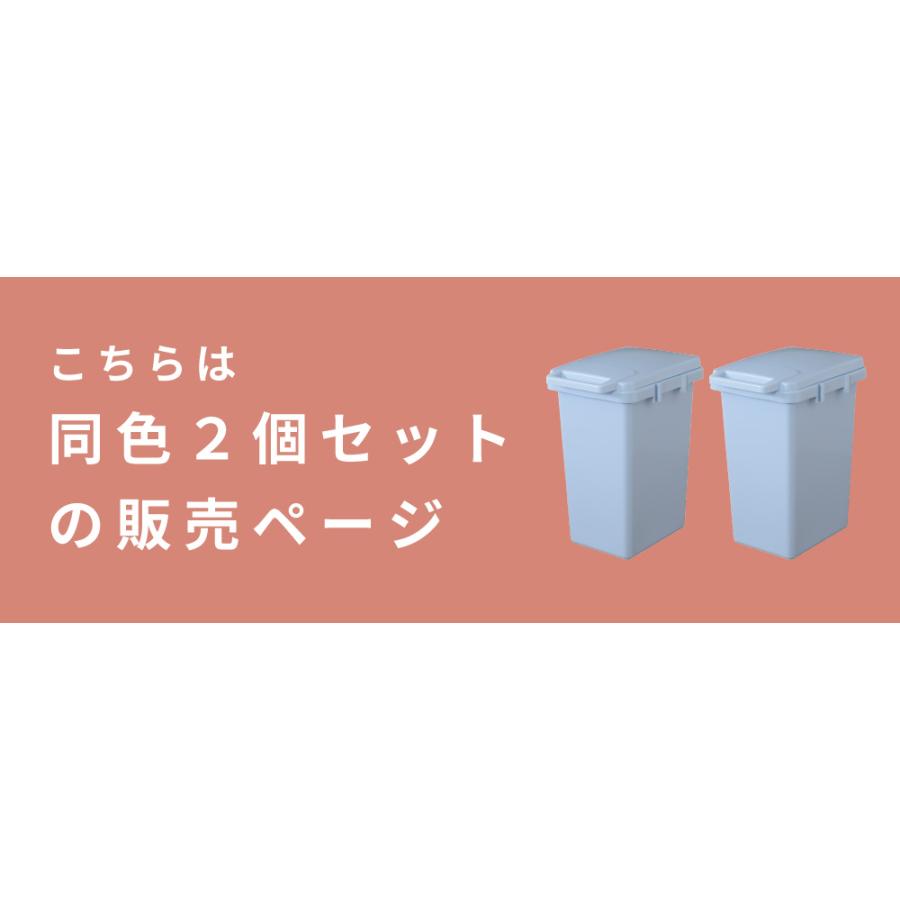 ゴミ箱 45リットル 2個セット 屋外 おしゃれ 分別 スリム フタ付き キッチン 北欧 ダストボックス シンプル 連結 大容量 45L 袋が見えない 白 ギフト プレゼント | 東谷 | 15