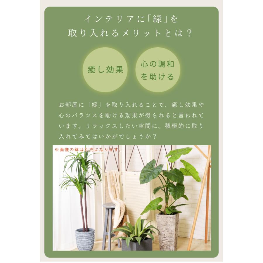 好評 フェイクグリーン おしゃれ 人工観葉 観葉植物 インテリア 造花 リーフ アロカシア 安い Grn 16 エフコルメ Yahoo 店 通販 Yahoo ショッピング メール便なら送料無料 Tanyasflawlesshairandbeautyacademy Co Uk