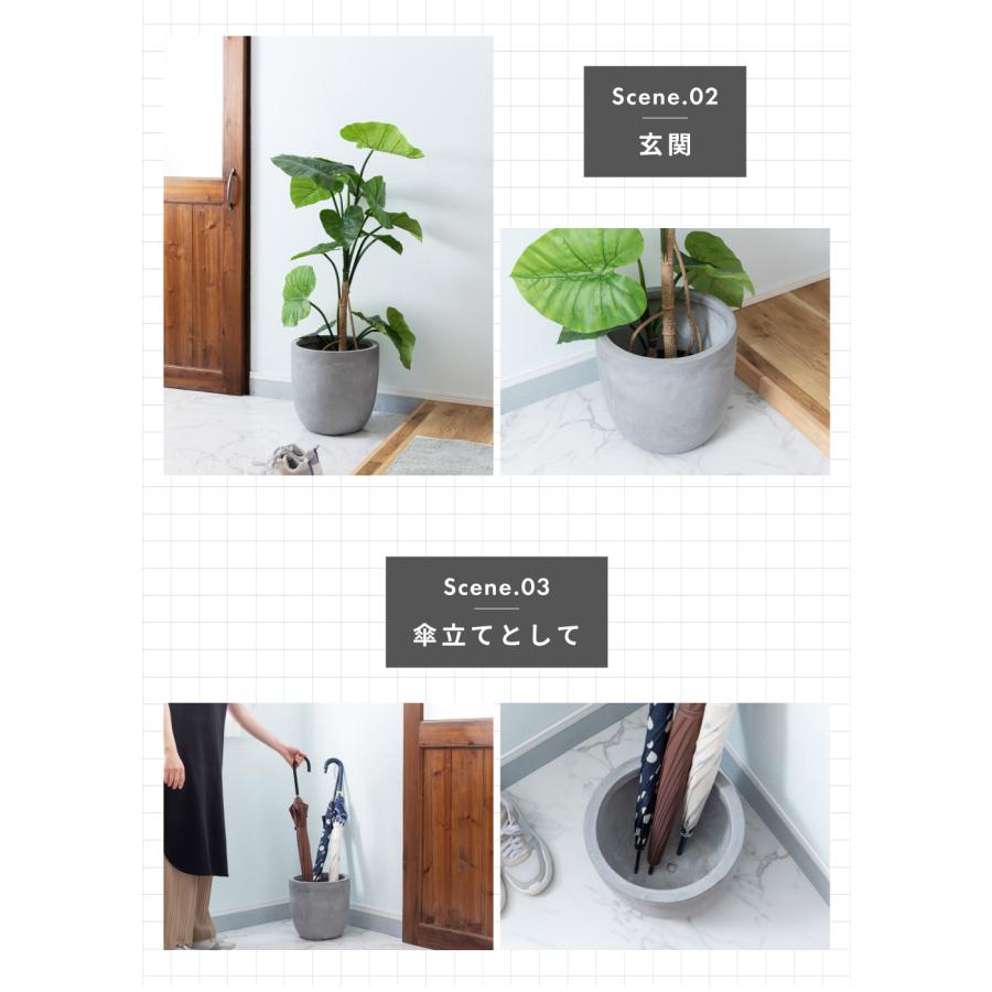 【未開封】きちがい料理大まん祭2025キ印奇談カラ・カポン 池川伸治ポストカード 未開封】きちがい料理大まん祭2025キ印奇談カラ・カポン 池川伸治