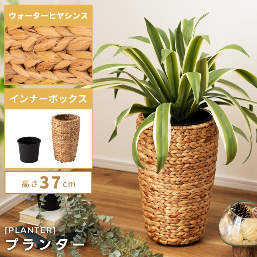 プランター 植木鉢 ハイタイプ 南国 5号サイズ 完成品 編み かご