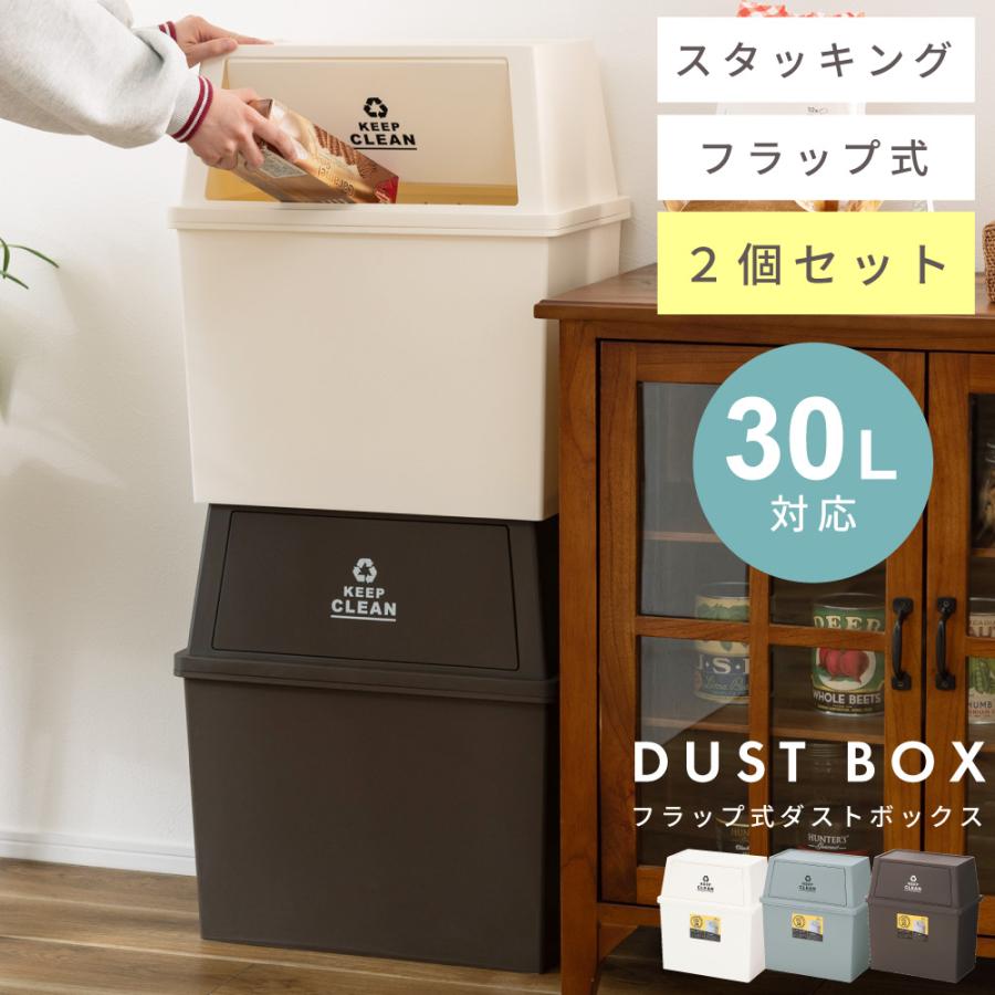 東谷 ゴミ箱 2個セット フラップ式 スタッキング 分別 ダストボックス