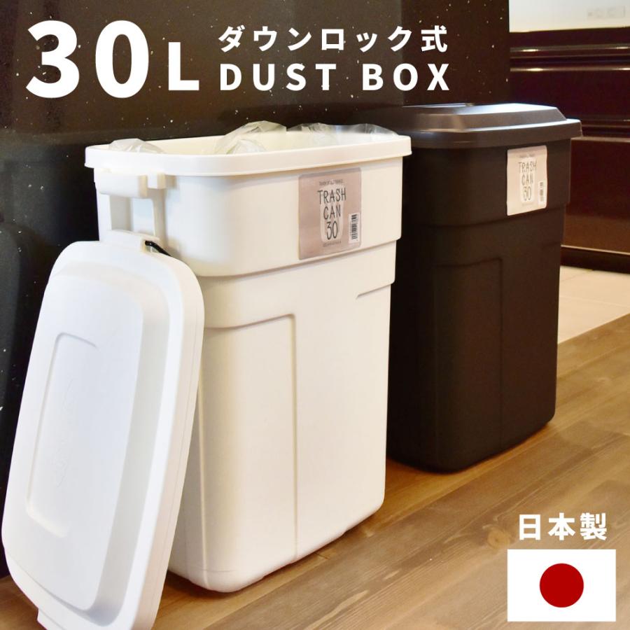 東谷 ゴミ箱 おしゃれ 30L 屋外 日本製 ブラウン 蓋付き くず入れ 分別