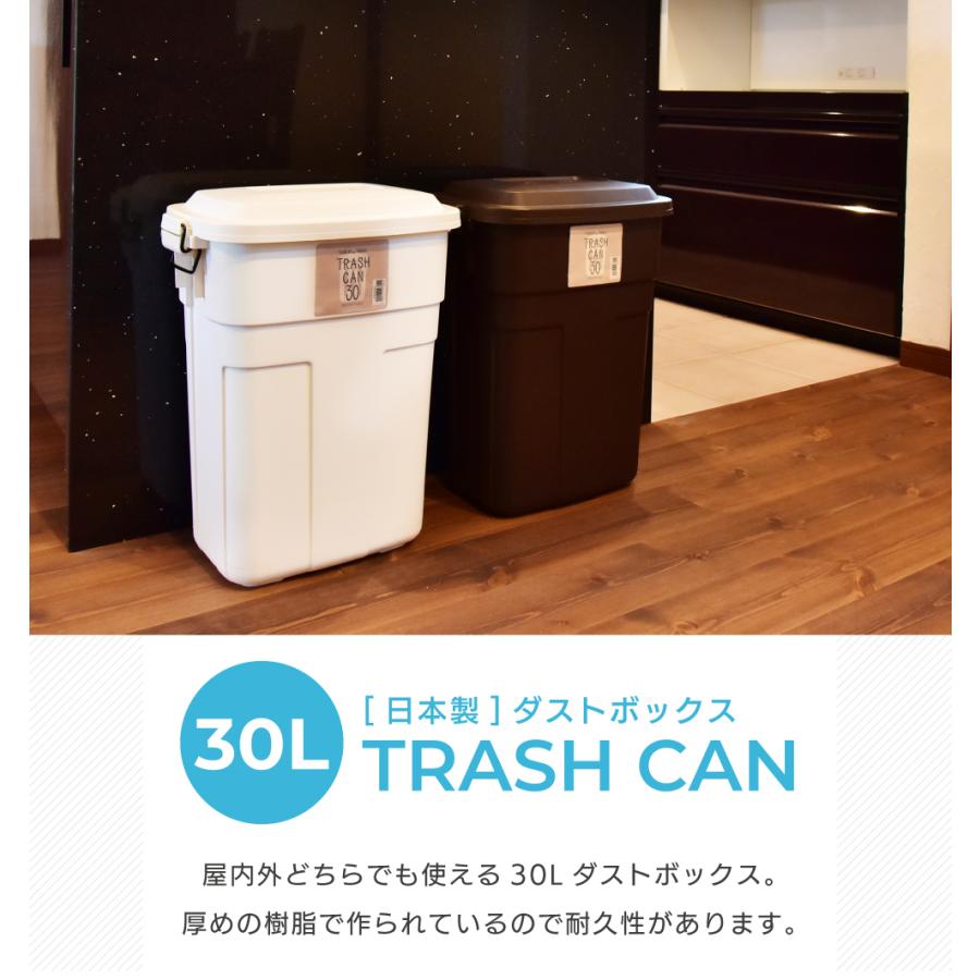 東谷 ゴミ箱 おしゃれ 30L 屋外 日本製 ブラウン 蓋付き くず入れ 分別