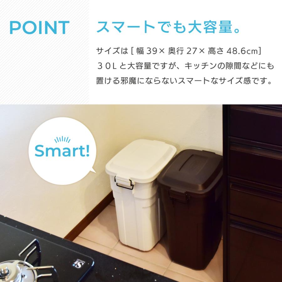 東谷 ゴミ箱 おしゃれ 30L 屋外 日本製 ブラウン 蓋付き くず入れ 分別