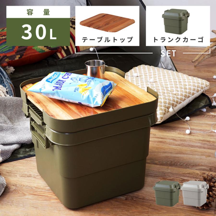 東谷 収納コンテナ 蓋 天板付き 30L プラスチック 収納ケース 収納 