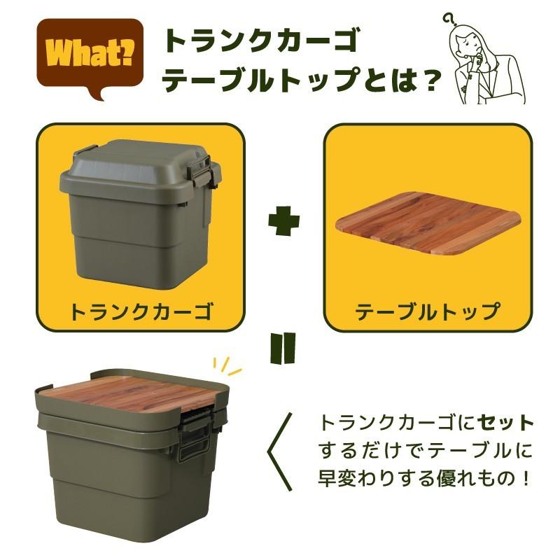 東谷 収納コンテナ 蓋 天板付き 30L プラスチック 収納ケース 収納