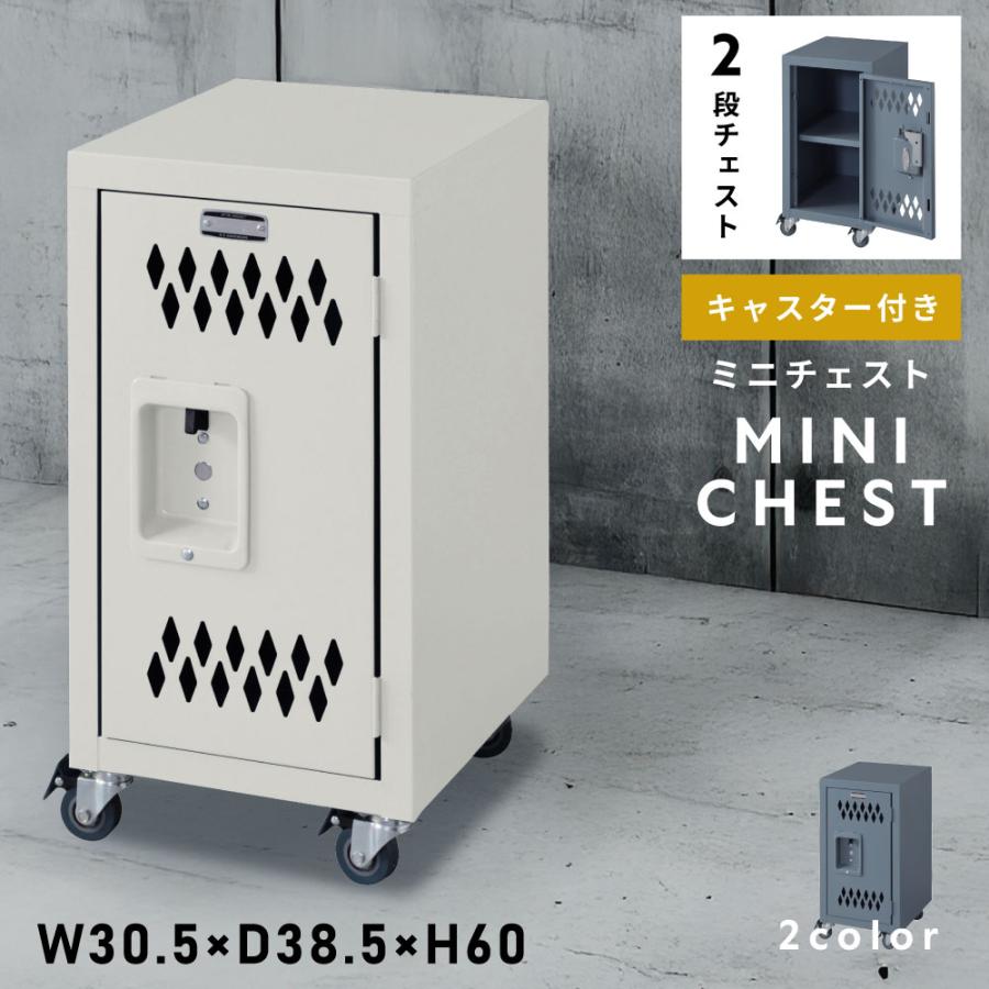東谷 靴箱 下駄箱 2段 扉 収納 チェスト ロッカー 玄関 キャスター 
