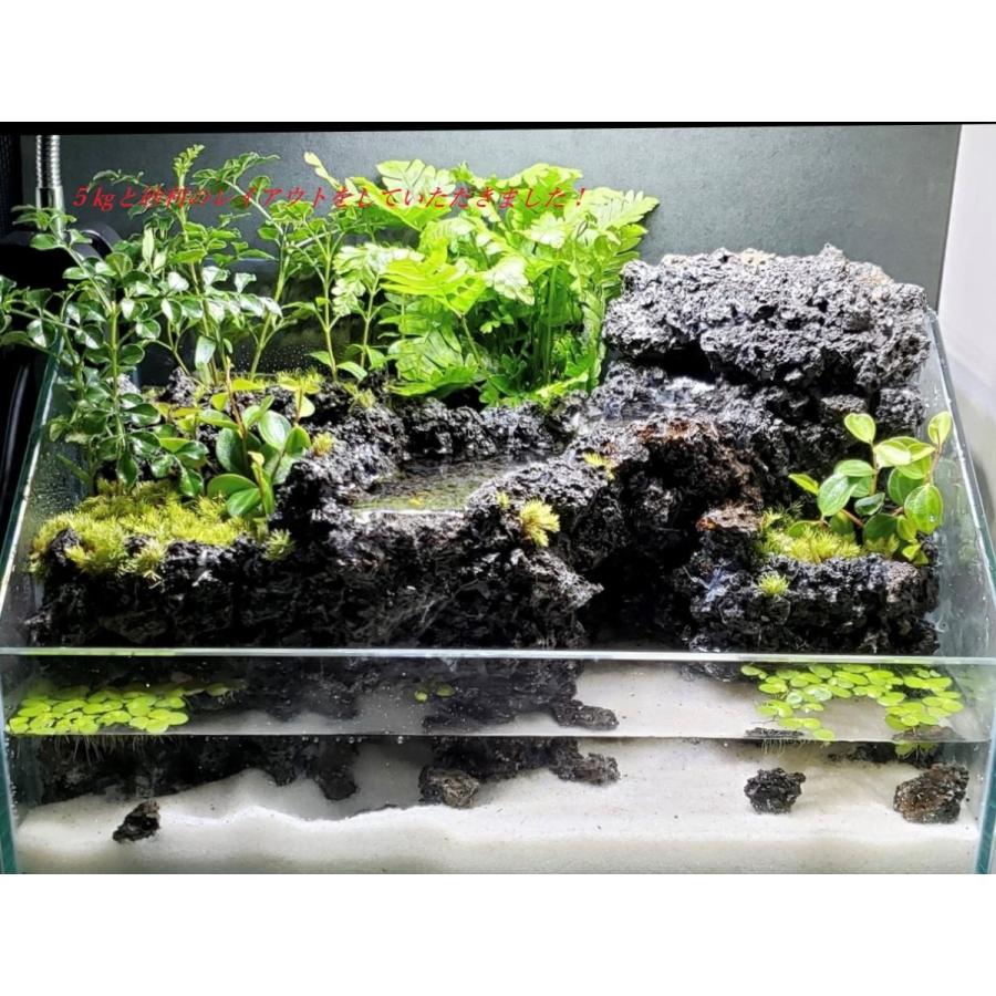 溶岩砂利 高濾過 ブラック ２ｋｇ ２０ ５０ｍｍ 底上げ 砂利 底床 水草 活着 アクアリウム レイアウト 小石 飾り石 水槽 石 パルダリウム Jari2 Fkplanning 通販 Yahoo ショッピング