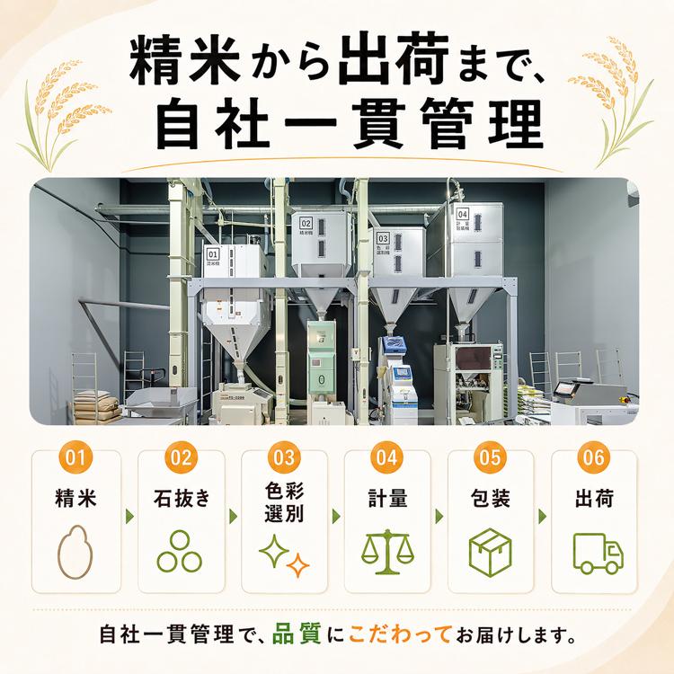 米 10kg お米 白米 こめ 精米 ブレンド米 生活応援米 国産米 複数原料