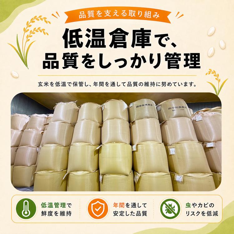 【全国どこでも送料無料】コスパ米20kg(5kg×4袋)お米　白米【郵便局発送】 米 5kg 4セット お米 20kg 白米 こめ 精製米 生活応援米 国産米 複数