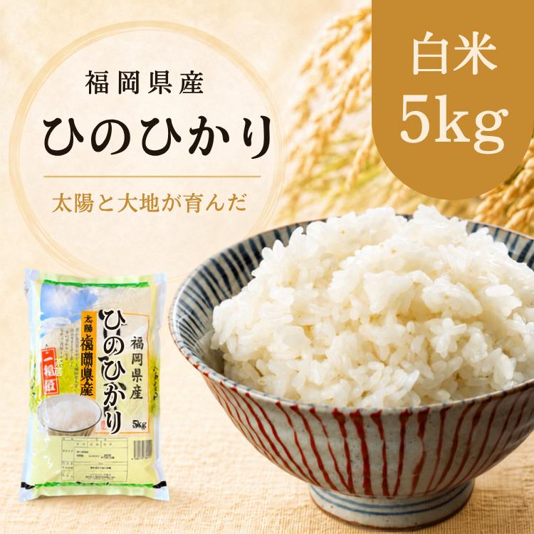 ヒノヒカリ 米5kg ひのひかり 令和7年産 福岡県産 お米 単一原料米