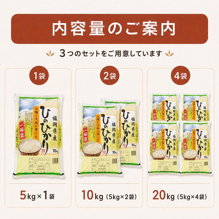 ヒノヒカリ 米10kg ひのひかり 福岡県産 令和7年産 白米 単一原料米