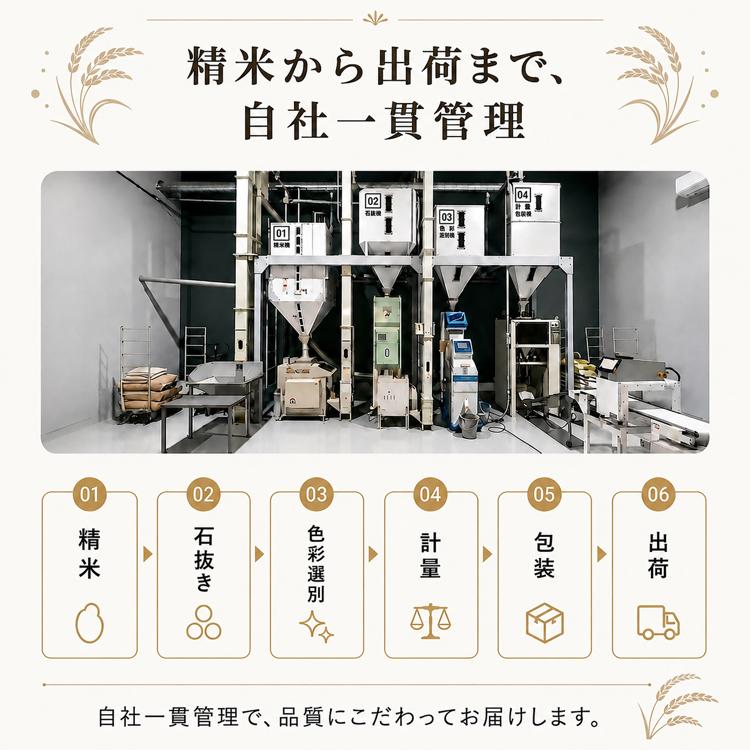 令和7年 ひのひかり 精米 5kg×3 15kg 兵庫米 単一農家 単一米 ヒノヒカリ 米 5kg ひのひかり 令和7年産 福岡県産 お米 単一原料米