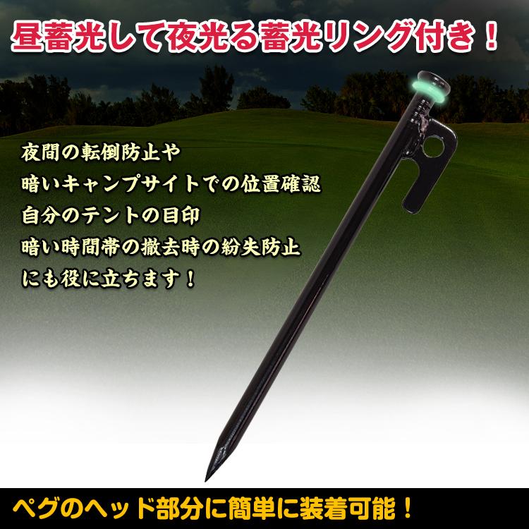 ペグ タープ ステンレス 20cm ペグセット レジャーシート