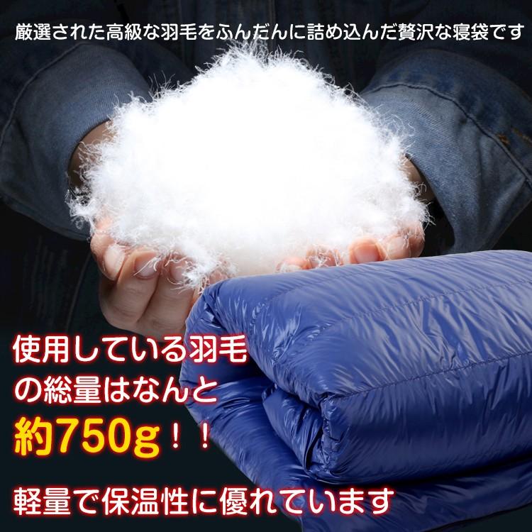 Hill Stone（ヒルストーン） 寝袋 冬用 最強 ダウン コンパクト ワイド
