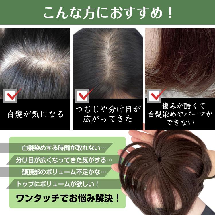 ウィッグ 白髪隠し 頭頂部 前髪 女性 ヘアピース 部分 20代 かつら
