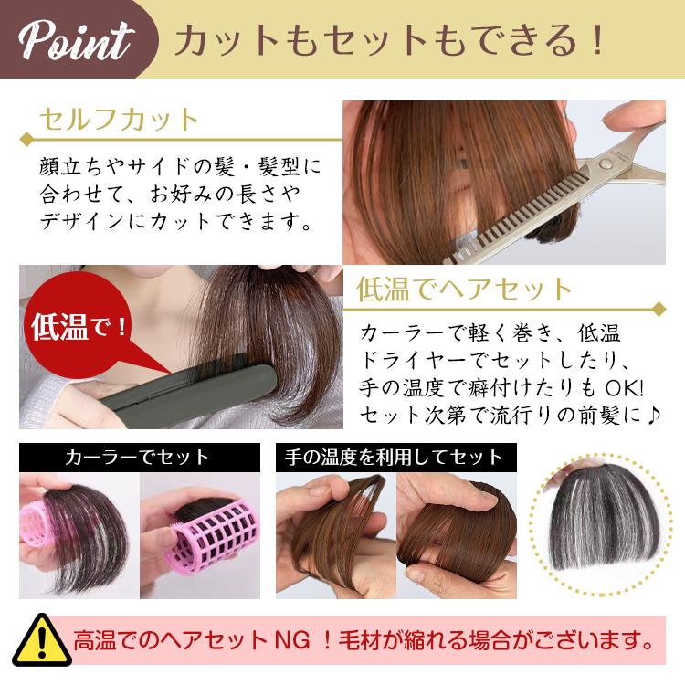 ウィッグ 白髪隠し 頭頂部 前髪 女性 ヘアピース 部分 20代 かつら