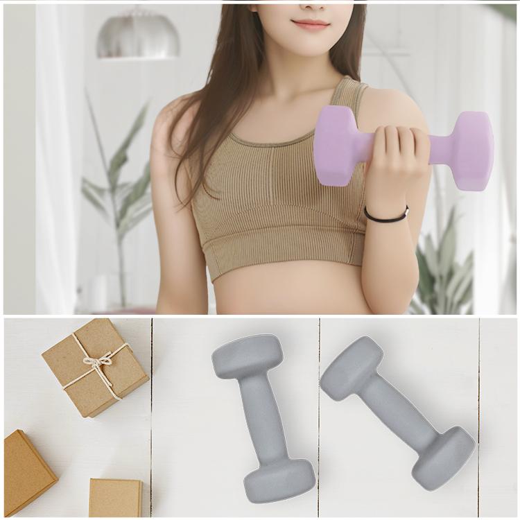 ダンベル 鉄アレイ 5kg ダンベルセット 2個セット 女性 カラーダンベル 固定式ダンベル おもり 自宅 かわいい トレーニング ヘキサゴンダンベル |  | 18