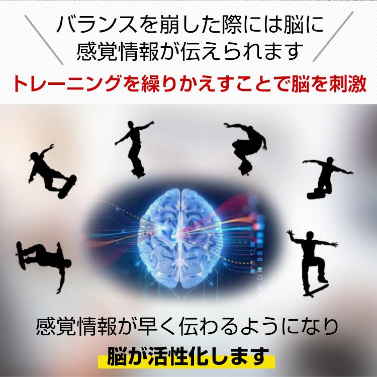 バランス ボード 子供 体幹 スケボー pro トレーニング プロ仕様 本格的 大人 筋トレ 運動 サーフィン スノボー 競技 ヨガ フィットネス de136 |  | 07