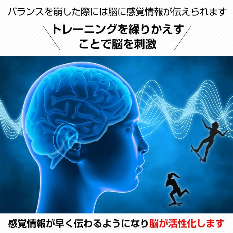 バランス ボード 子供 木製 体幹 スケボー pro プロ仕様 筋トレ 運動 サーフィン 下半身 スノボー 競技 ヨガ リハビリ ストレッチ プランク フィットネス de137 |  | 07