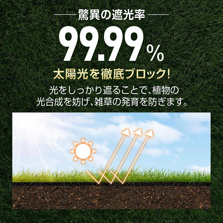 防草シート 2ロール 除草シート ぼうそうシート 黒マルチ 1m×30m 防草