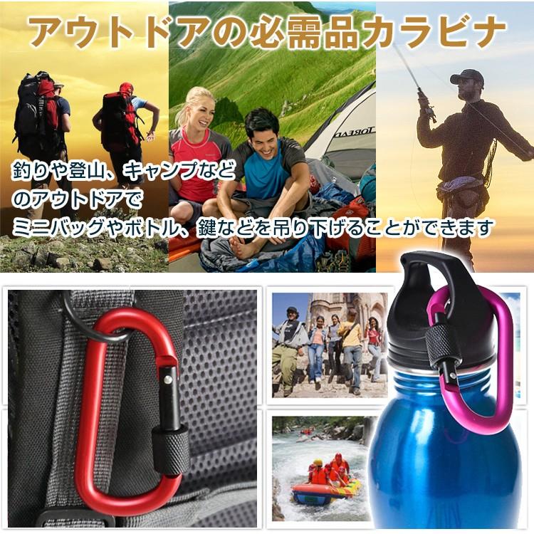カラビナ アルミ セット クライミング ネジ 登山 ベルト ボルダリング