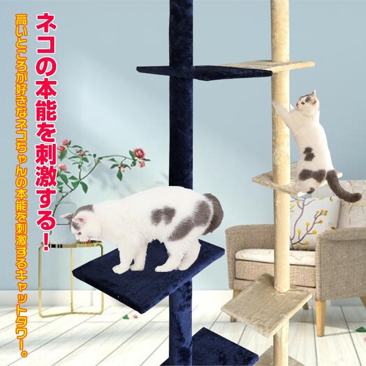 驚きの安さ キャットタワー 突っ張り スリム つっぱり 木登り コーナー おしゃれ 海外かわいい 爪とぎ おもちゃ 運動不足 安定 頑丈 ねこ 爪とぎ 新色追加 Carlavista Com