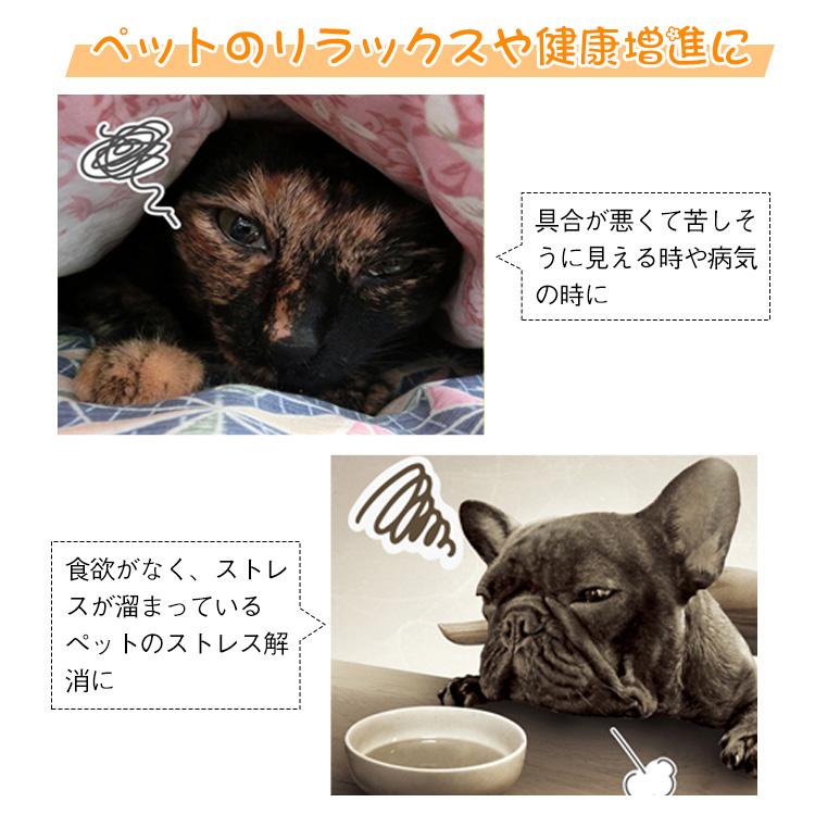 ペット 酸素室 動物用酸素室 ハウス ボックス ケージ セット 酸素発生器付き 乾燥箱 猫 犬 小型犬 M 折りたたみ ペットケージ お風呂後 通気 老齢 疾患 ケア |  | 05