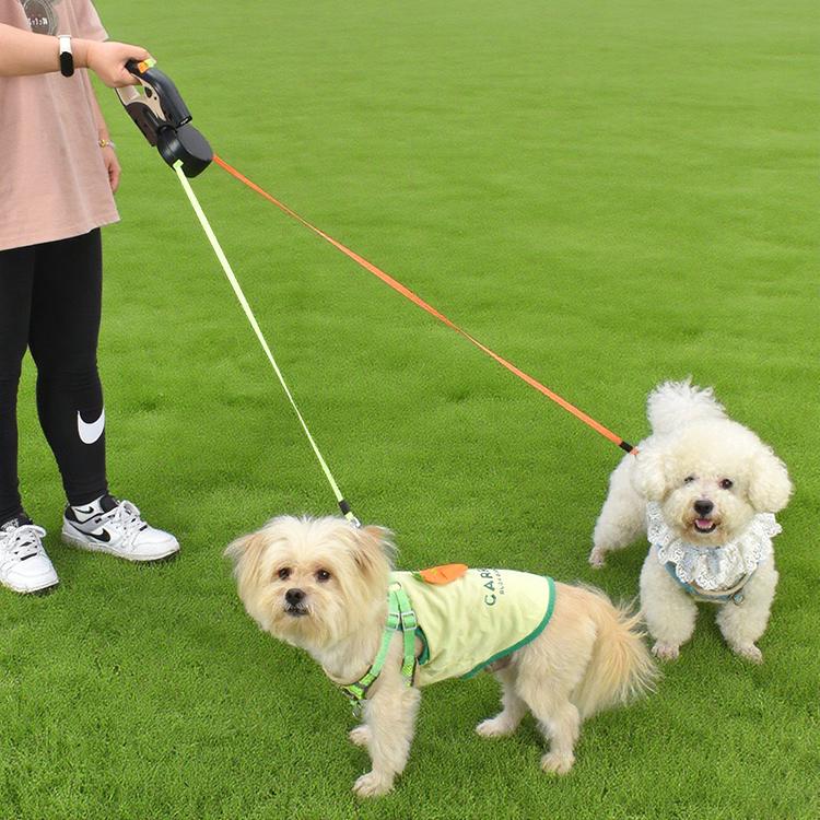 ペット用リード 犬 リード 伸縮リード 自動伸縮 小型犬用 中型犬用 2頭