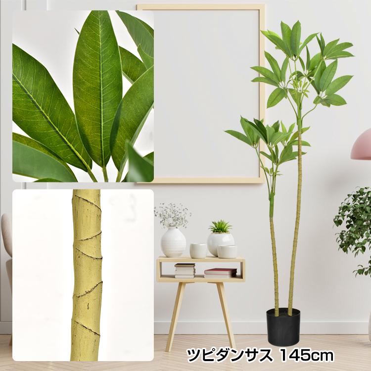 鉢植え 2025 観葉植物 アレンジメント フェイクグリーン 植木鉢