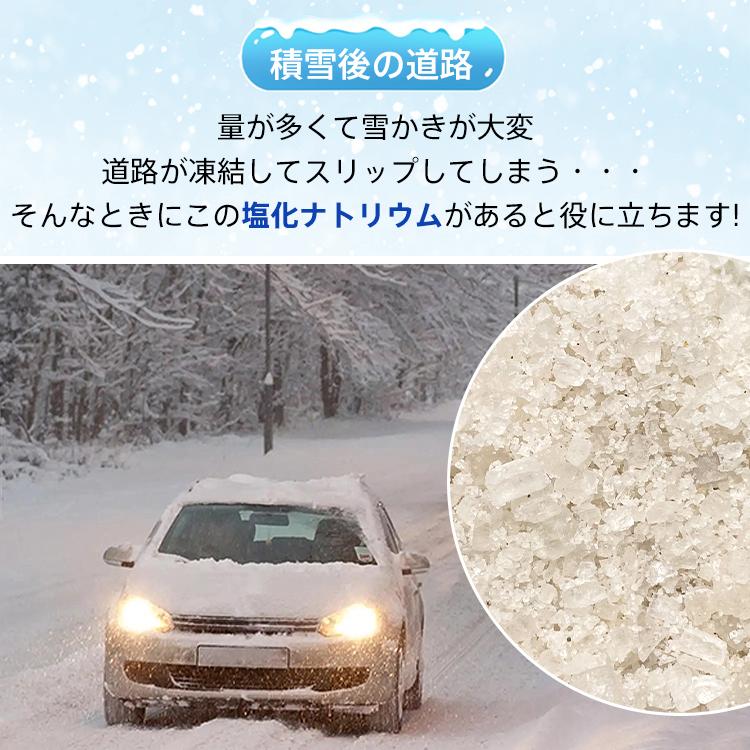 凍結防止 凍結防止剤 融雪 融雪剤 25kg 塩化ナトリウム 積雪 車 自動車 除雪 家庭用 雪 氷 溶かす 道路 駐車場 玄関 坂道 冬 防湿剤 防塵剤 雪道 高速