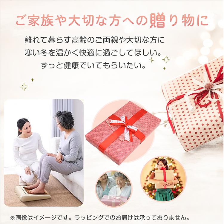 ヒーター ファンヒーター 暖房器具 小型 電気ヒーター 温風 小型