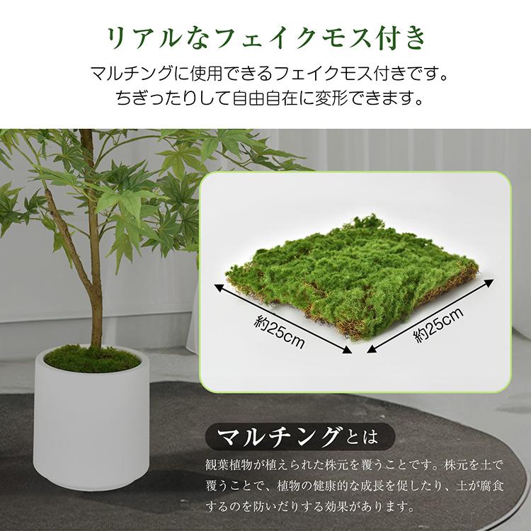 鉢植え 2025 観葉植物 アレンジメント フェイクグリーン 多肉植物