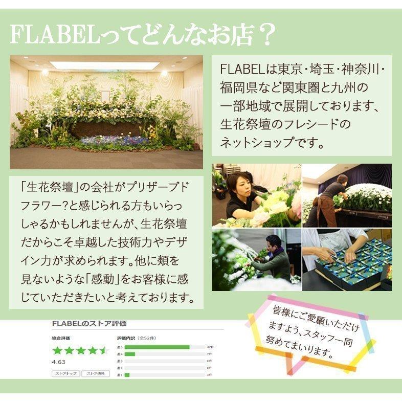 プリザーブドフラワー Antietto 誕生日 プレゼント 女性 母 祖母 花 退職祝い 結婚祝い おしゃれ ブリザードフラワー ボックスフラワー 9001 2 Flabel 通販 Yahoo ショッピング