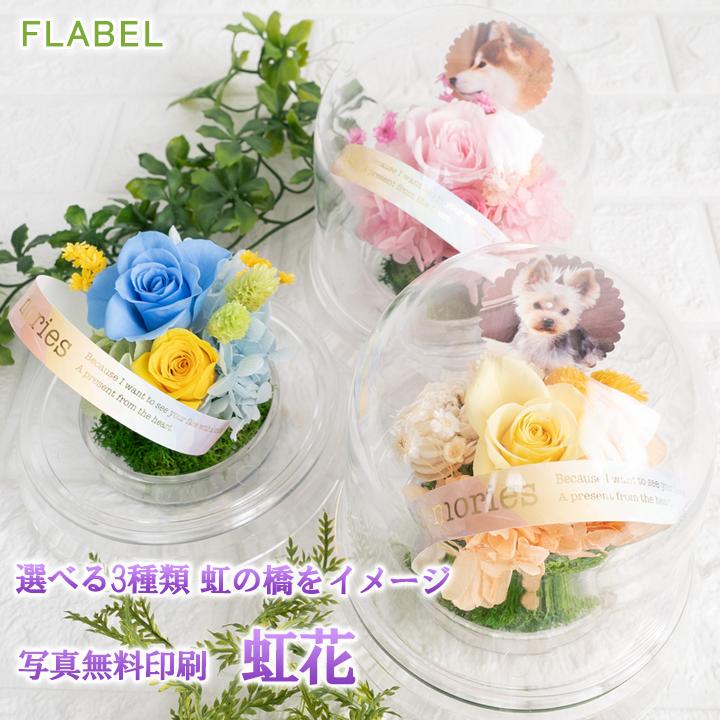 ペットのお供え花 虹花 にじか プリザーブドフラワー 仏花 お供え お悔やみ 花 贈り物 虹の橋 ペット用 供花 9012 Flabel 通販 Yahoo ショッピング
