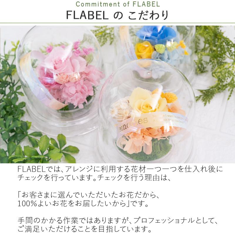 ペットのお供え花 虹花 にじか プリザーブドフラワー 仏花 お供え お悔やみ 花 命日 一周忌 喪中見舞い 贈り物 虹の橋 ペット用 供花 Tfqno9ngz6 Www Saint Venant Fr