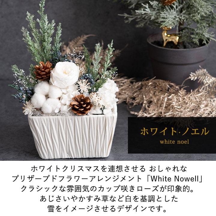 イヴの贈り物 クリスマスプレゼント（プリザーブドフラワー イヴの贈り物 クリスマスプレゼント（プリザーブドフラワー