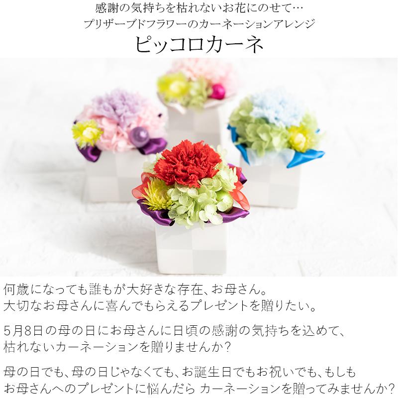母の日 22 プリザーブドフラワー 花 プレゼント ギフト ピッコロカーネ ケース入り ブリザードフラワー カーネーション アレンジメント 90 Flabel 通販 Yahoo ショッピング